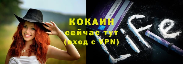 прущая мука Каменка