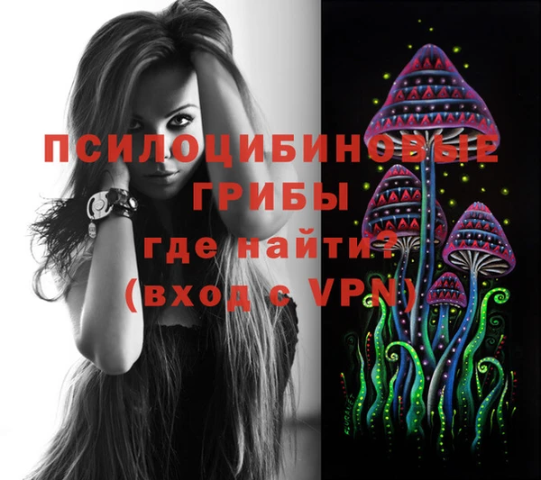 соль курить ск Каменногорск