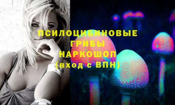 прущая мука Каменка