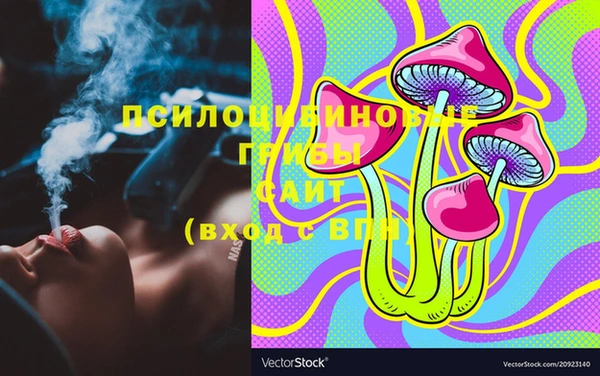 прущая мука Каменка