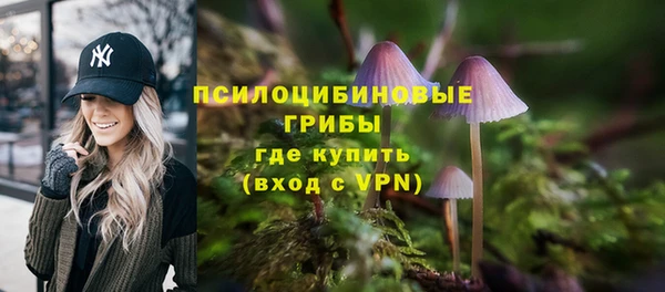 соль курить ск Каменногорск